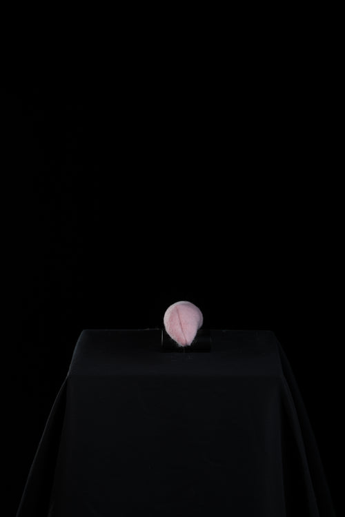 Insertable